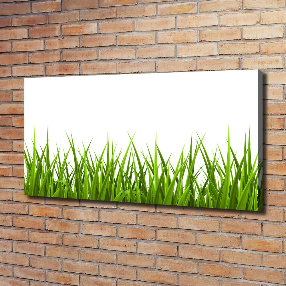 Canvas wall art Grass