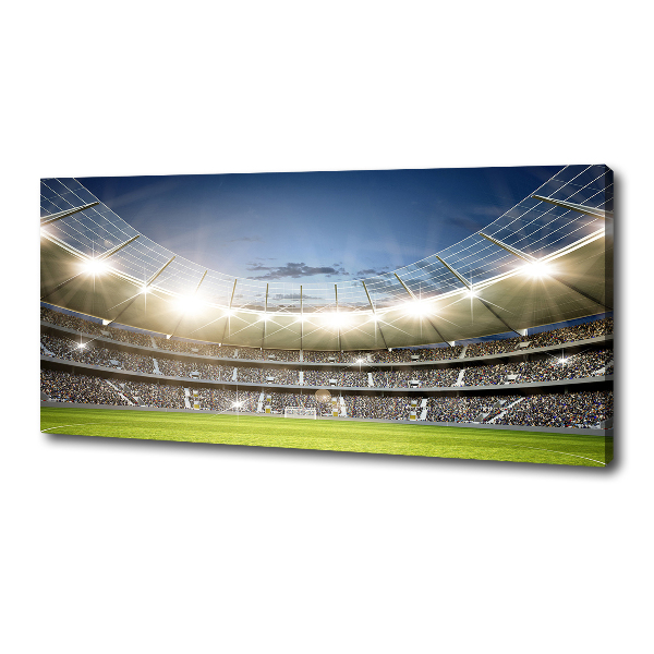 Canvas wall art Stadium