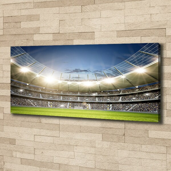 Canvas wall art Stadium