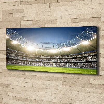 Canvas wall art Stadium