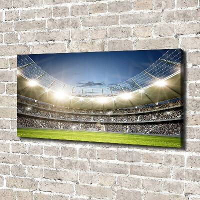 Canvas wall art Stadium