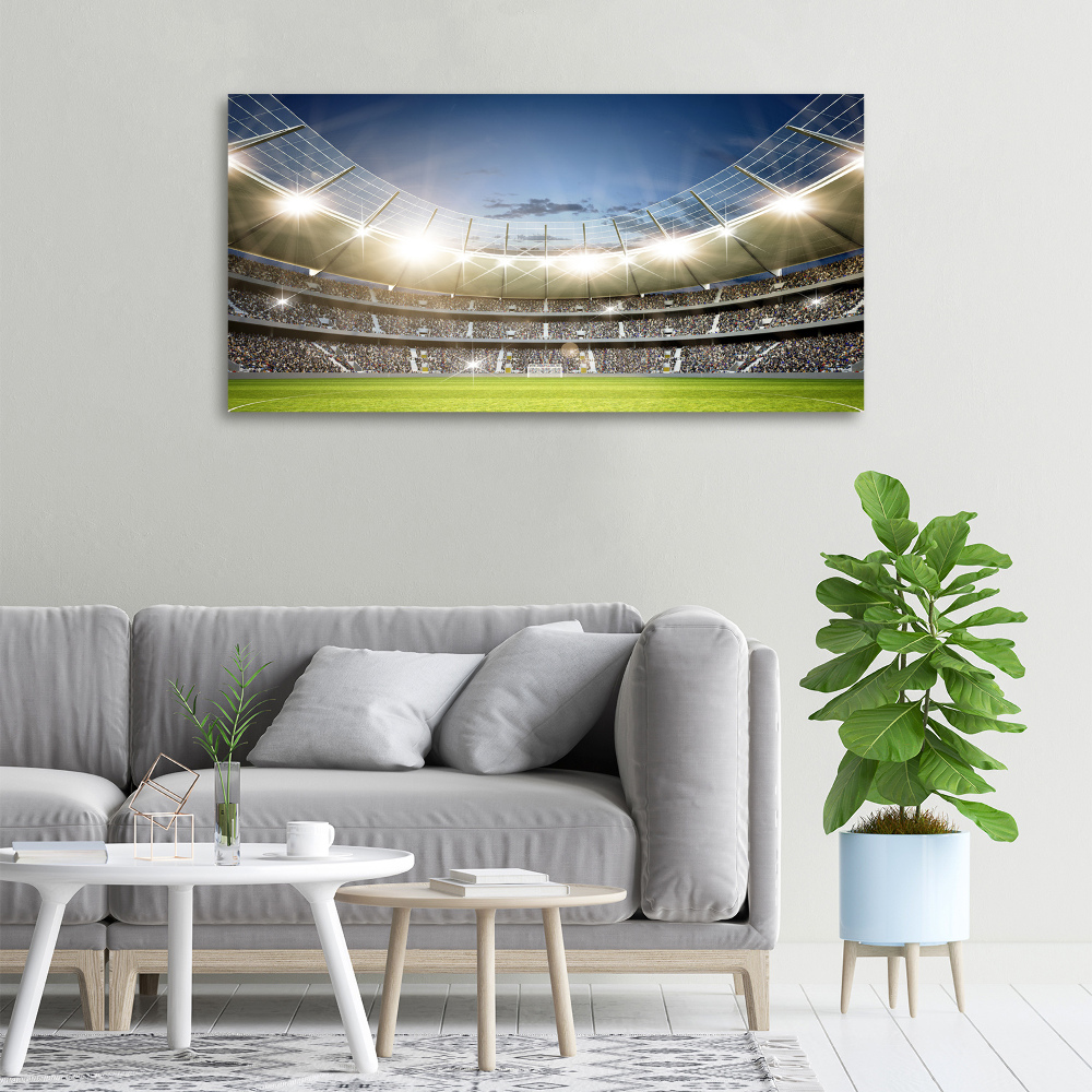 Canvas wall art Stadium