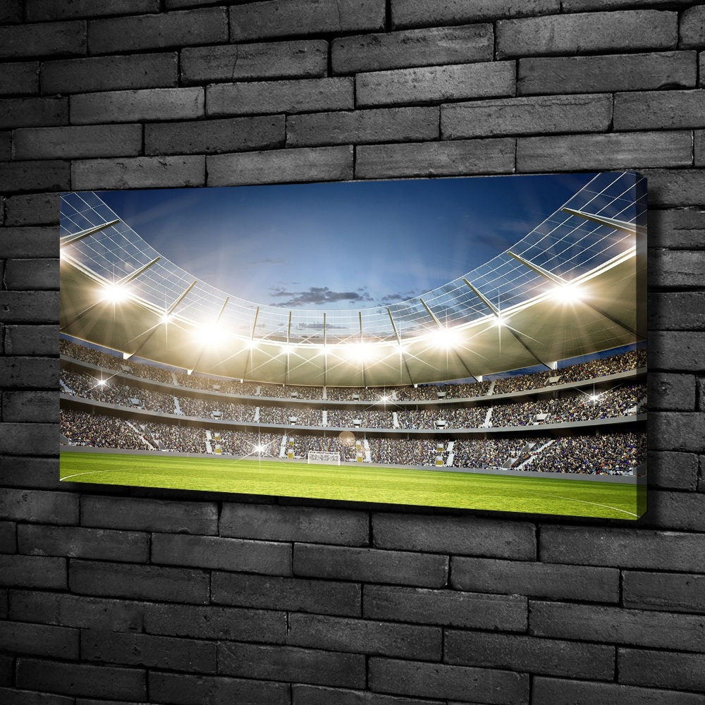 Canvas wall art Stadium