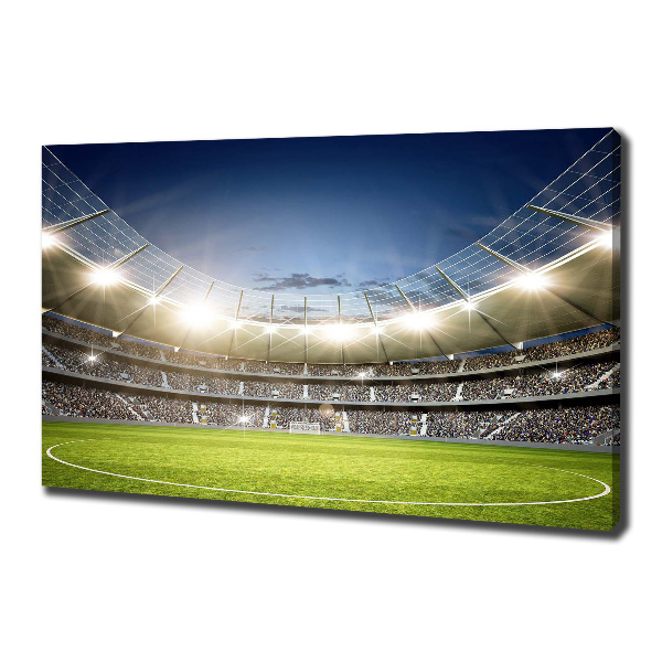 Canvas wall art Stadium