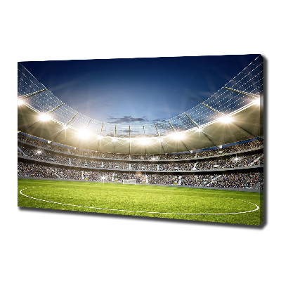 Canvas wall art Stadium