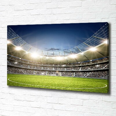 Canvas wall art Stadium