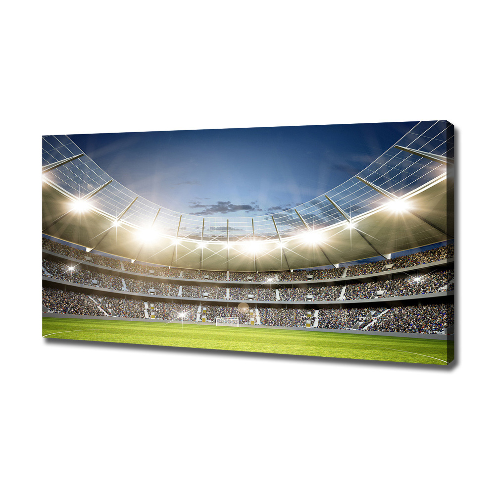 Canvas wall art Stadium