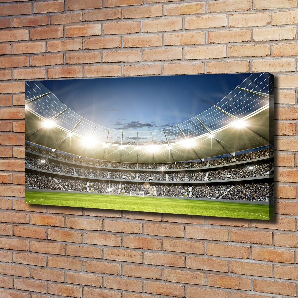 Canvas wall art Stadium