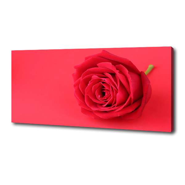 Canvas wall art Red rose