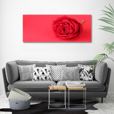 Canvas wall art Red rose