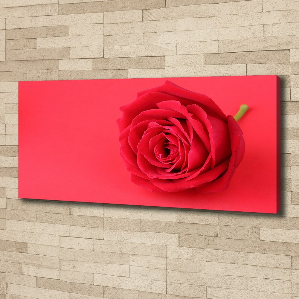 Canvas wall art Red rose