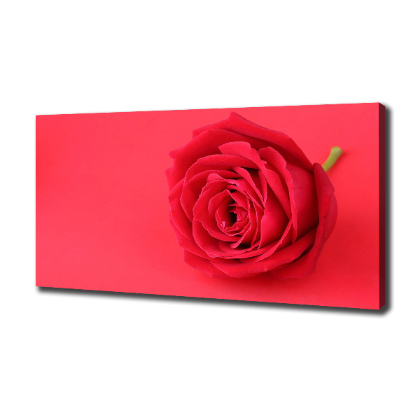 Canvas wall art Red rose