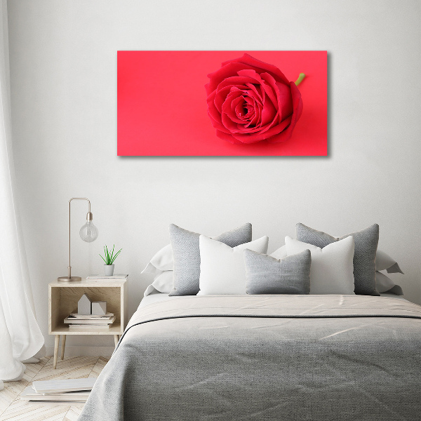 Canvas wall art Red rose