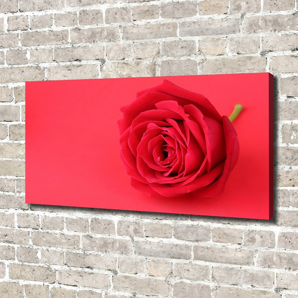 Canvas wall art Red rose