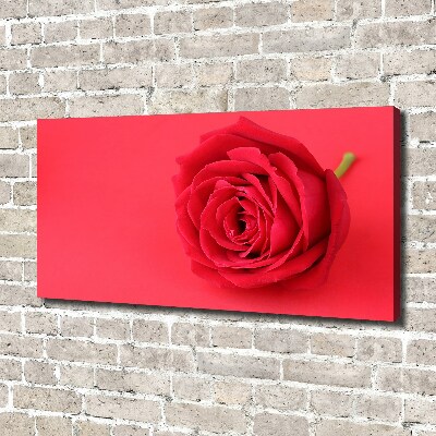 Canvas wall art Red rose