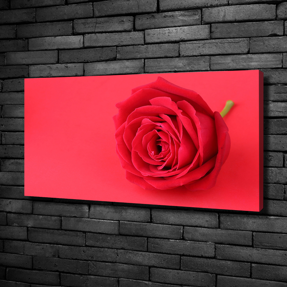 Canvas wall art Red rose