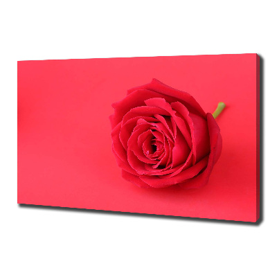 Canvas wall art Red rose