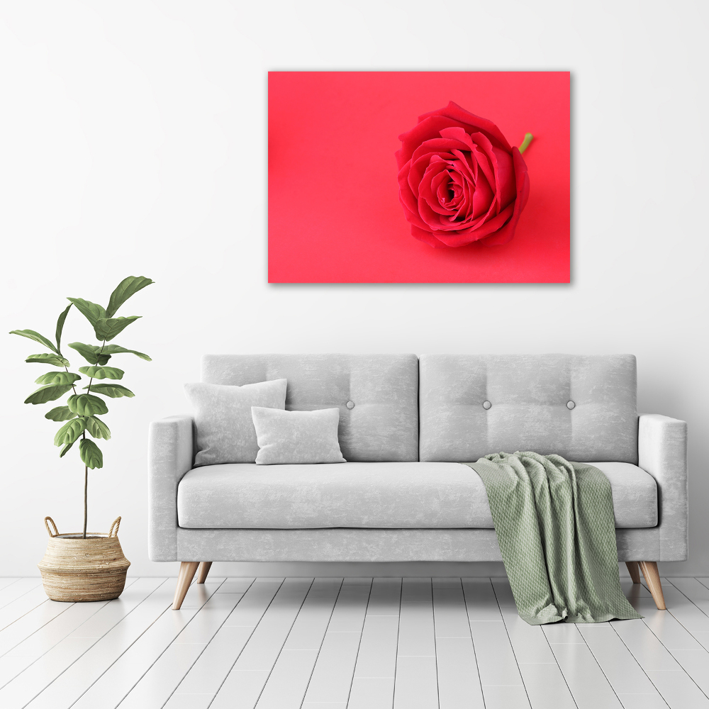 Canvas wall art Red rose