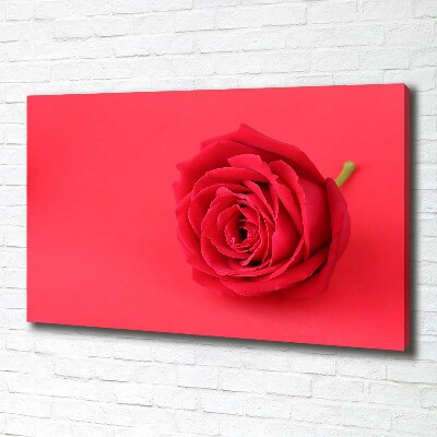 Canvas wall art Red rose