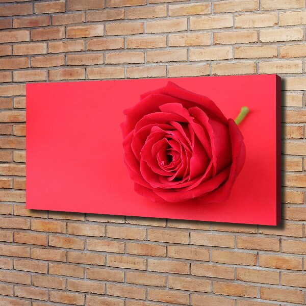 Canvas wall art Red rose