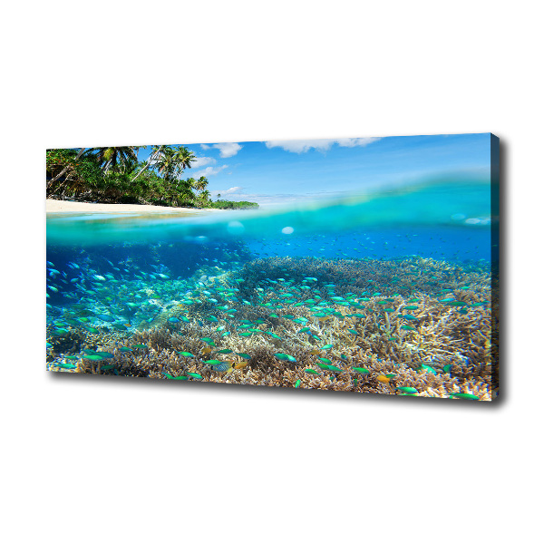 Coral reef