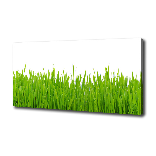 Canvas wall art Grass