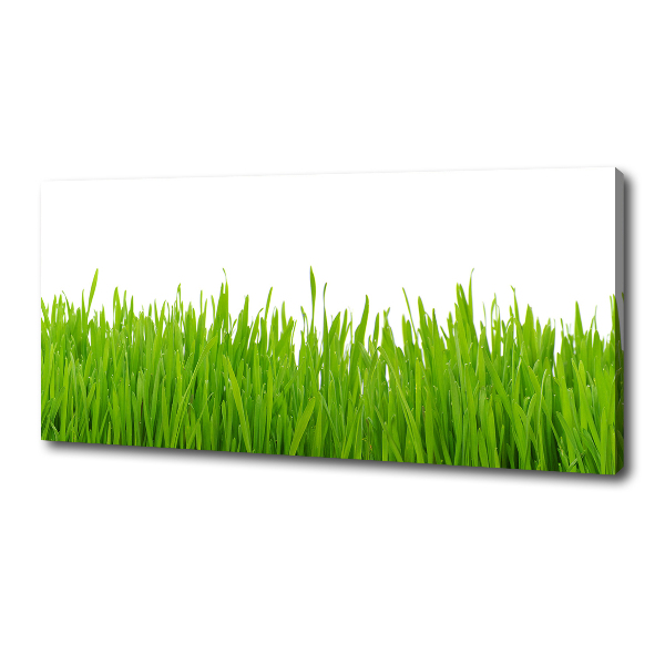 Canvas wall art Grass