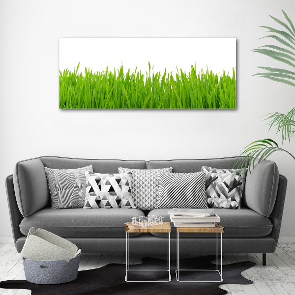 Canvas wall art Grass