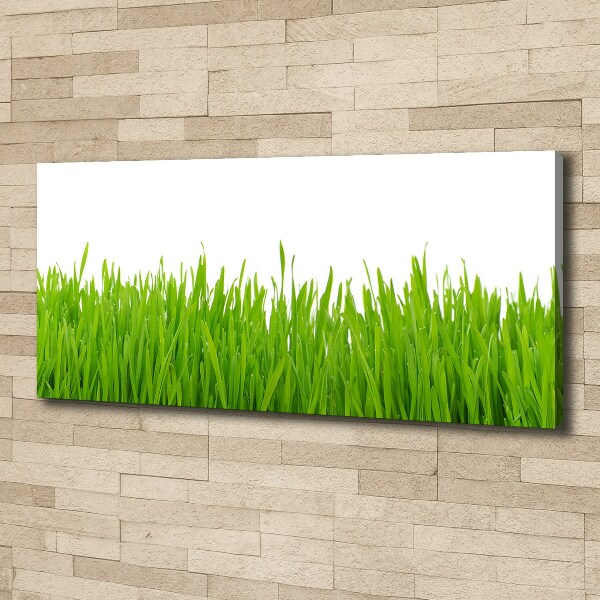 Canvas wall art Grass