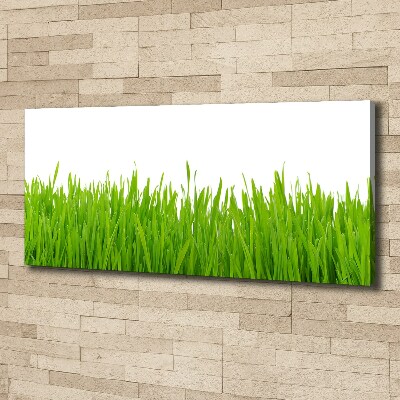 Canvas wall art Grass