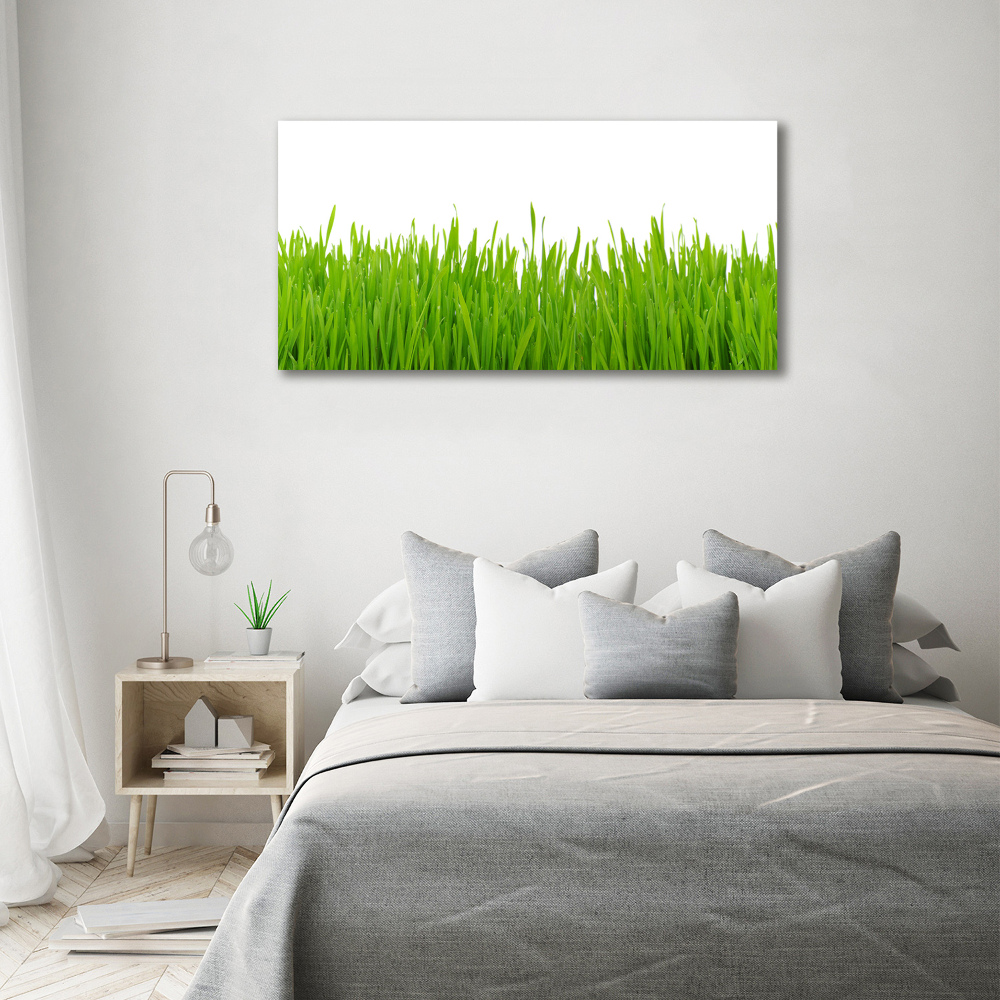 Canvas wall art Grass