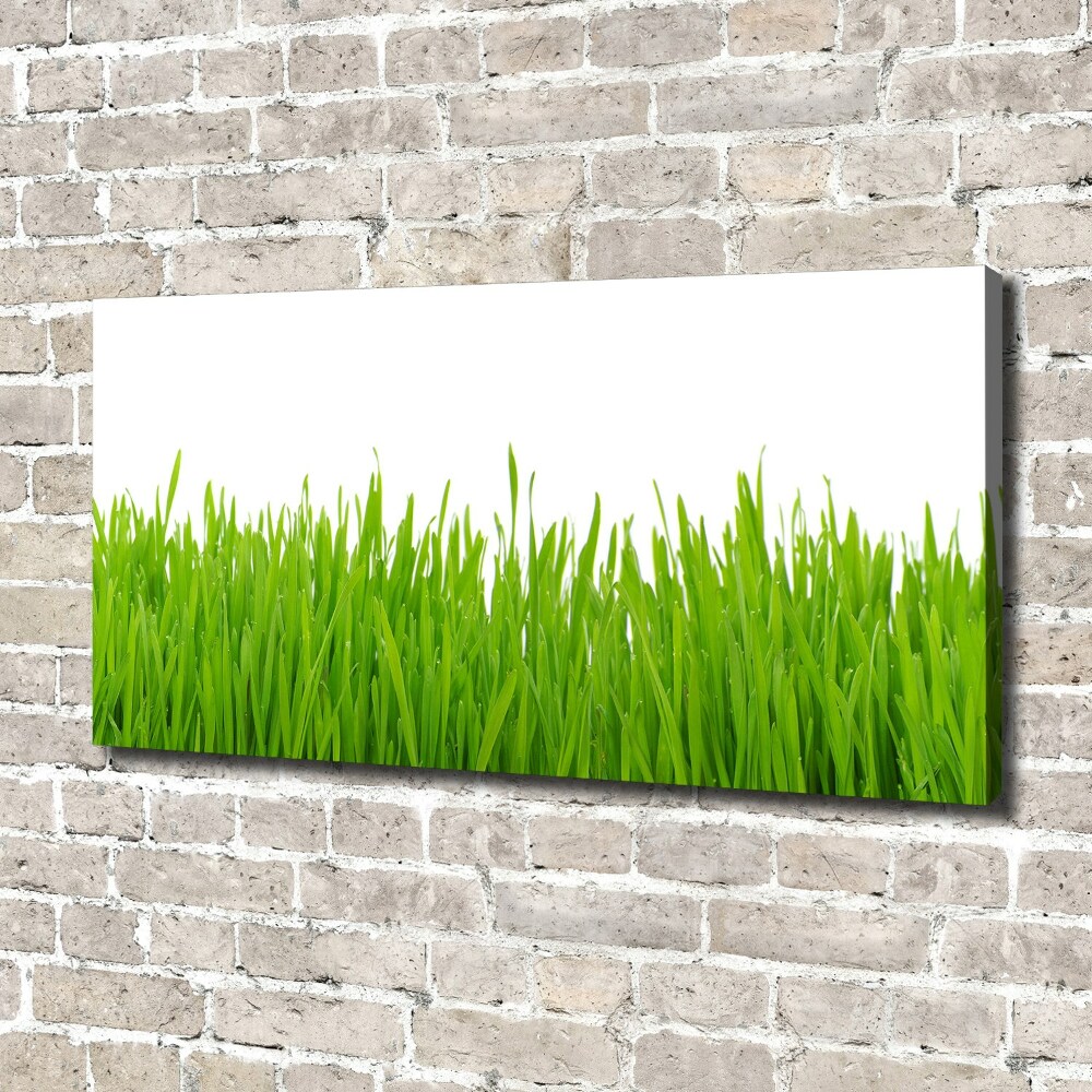 Canvas wall art Grass