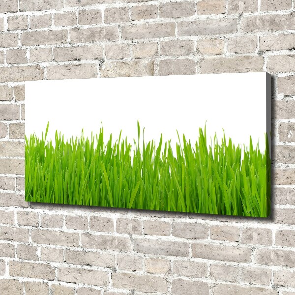 Canvas wall art Grass