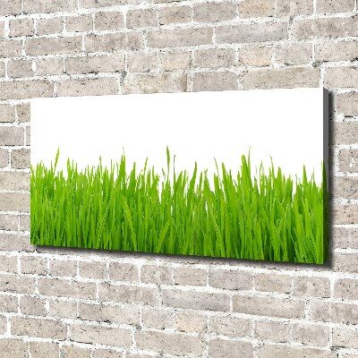 Canvas wall art Grass