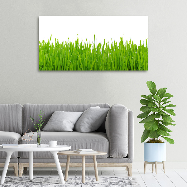 Canvas wall art Grass