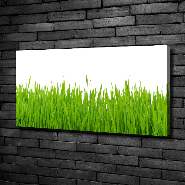 Canvas wall art Grass