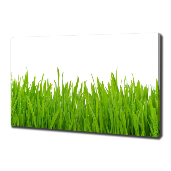 Canvas wall art Grass