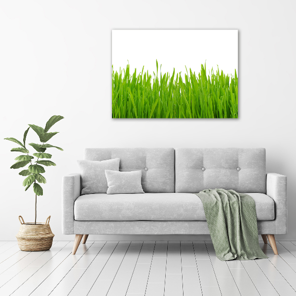 Canvas wall art Grass