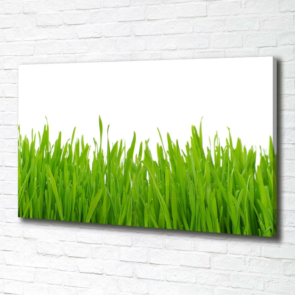 Canvas wall art Grass