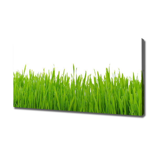 Canvas wall art Grass