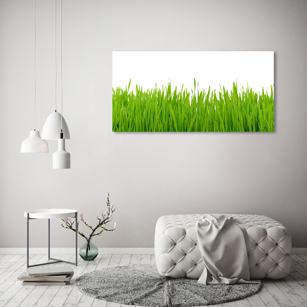 Canvas wall art Grass