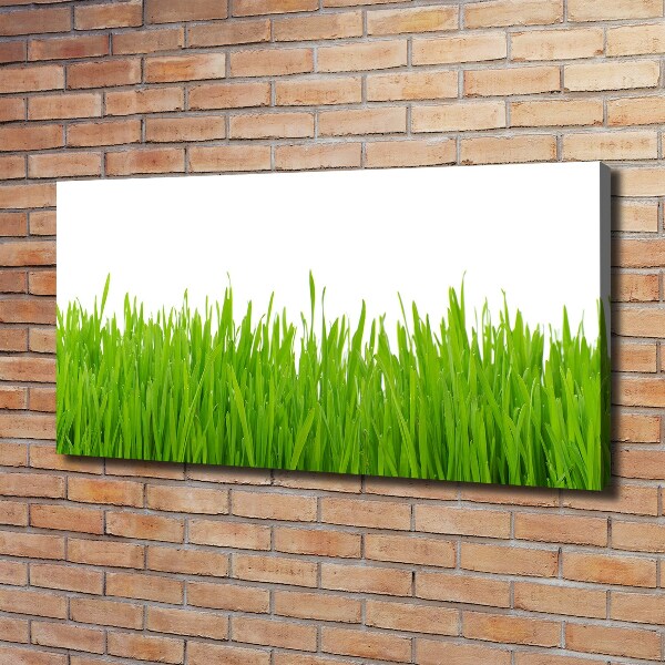 Canvas wall art Grass