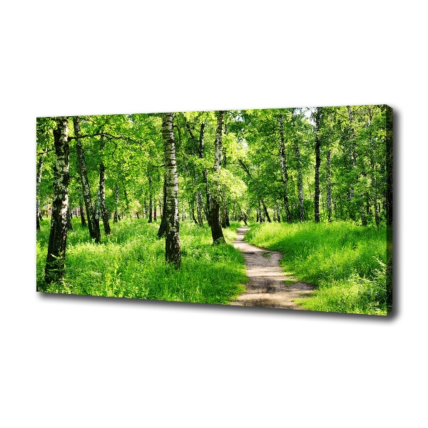 Canvas wall art Birch forest