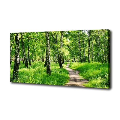 Canvas wall art Birch forest