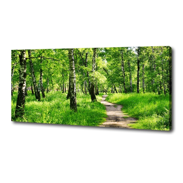 Canvas wall art Birch forest