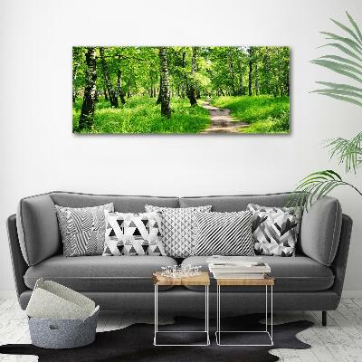 Canvas wall art Birch forest