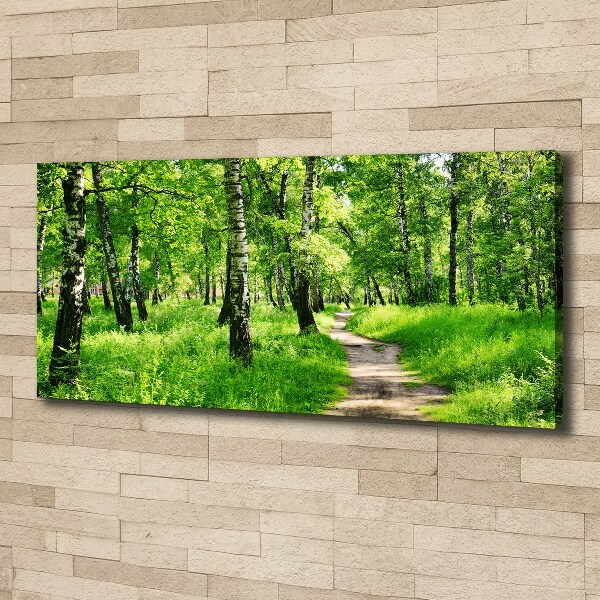 Canvas wall art Birch forest