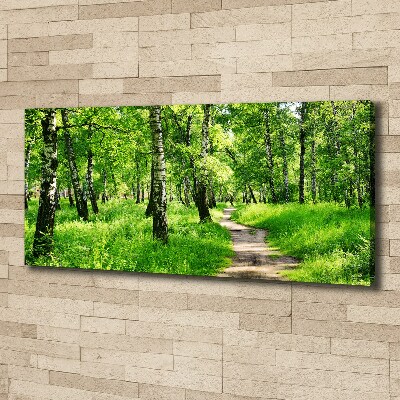 Canvas wall art Birch forest