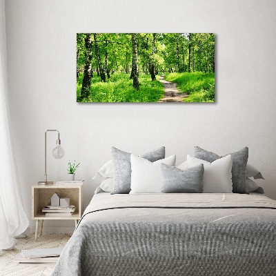 Canvas wall art Birch forest