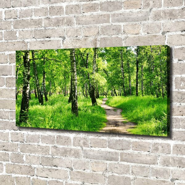 Canvas wall art Birch forest